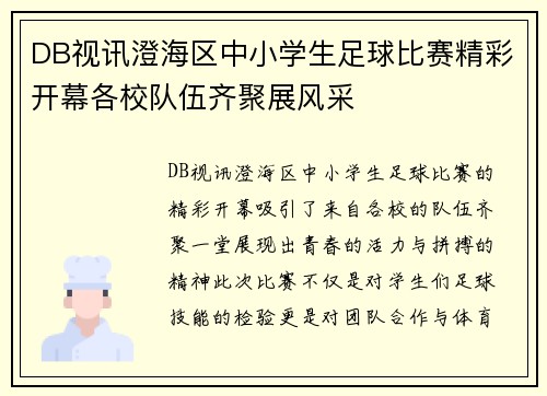 DB视讯澄海区中小学生足球比赛精彩开幕各校队伍齐聚展风采