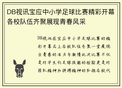 DB视讯宝应中小学足球比赛精彩开幕各校队伍齐聚展现青春风采