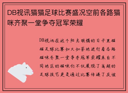 DB视讯猫猫足球比赛盛况空前各路猫咪齐聚一堂争夺冠军荣耀